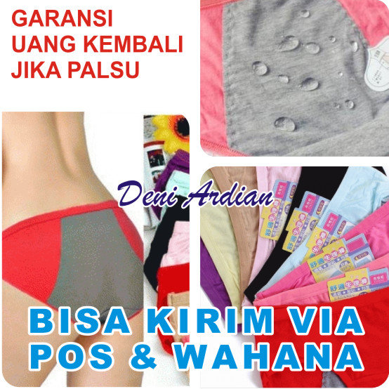 Celana Dalam Menstruasi