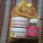 indah payudara