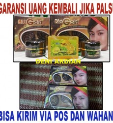 CARA MEMUTIHKAN MUKA DENGAN CREAM BIO GOLD / BIOGOLD