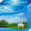 KELEBIHAN DAN KHASIAT SUSU KAMBING ETAWA SKY GOAT