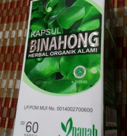 kapsul binahong
