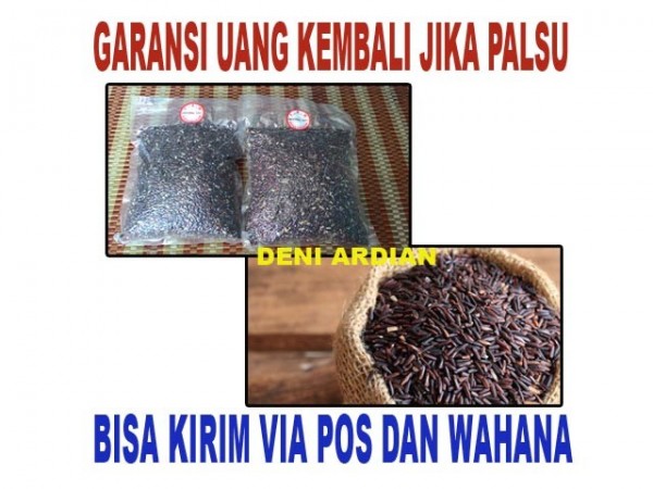 HARGA BERAS HITAM ORGANIK