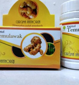 KAPSUL TEMULAWAK GRIYA ANNUR