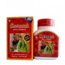 SARMUT SARANG SEMUT PAPUA