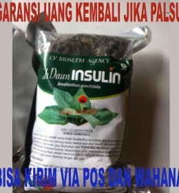 TEH DAUN INSULIN