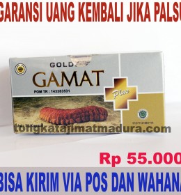 GOLDEN GAMAT