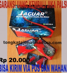 Ramuan Tahan Lama/Obat Tahan Lama Pria Perkasa Kapsul JAGUAR