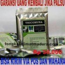 TRICOMUNA BAKTERI PENGURAI:Cara Mengatasi WC Mampet dan Solusi WC Mampet