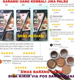 GEL ALIS LANDBIS EYELINER- LAND BIS
