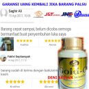 JELLY GAMAT GOLD G bio sea cucumber untuk kesehatan
