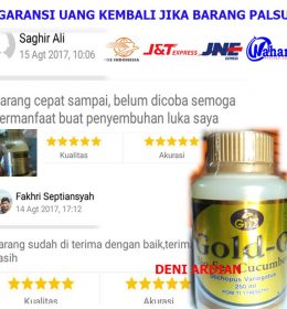 JELLY GAMAT GOLD G bio sea cucumber untuk kesehatan