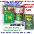 Kopi Hijau Green Coffe - Green Coffe Extract Kopi Hijau Kapsul Pembakar Lemak Original