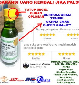 Minyak Burung Bubut Original Minyak Cream Bekam Minyak Oles Pijat penghilang Nyeri Pegal Obat Masuk Angin