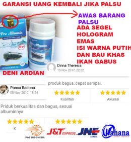 PRO ALBUMIN EKSTRAK IKAN GABUS KAPSUL KUTUK ASLI UNTUK PENYEMBUHAN LUKA BEKAS OPERASI