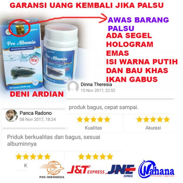 PRO ALBUMIN EKSTRAK IKAN GABUS KAPSUL KUTUK ASLI UNTUK PENYEMBUHAN LUKA BEKAS OPERASI