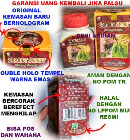Sarmut Semut Sarang Semut Original Halal Obat Kanker