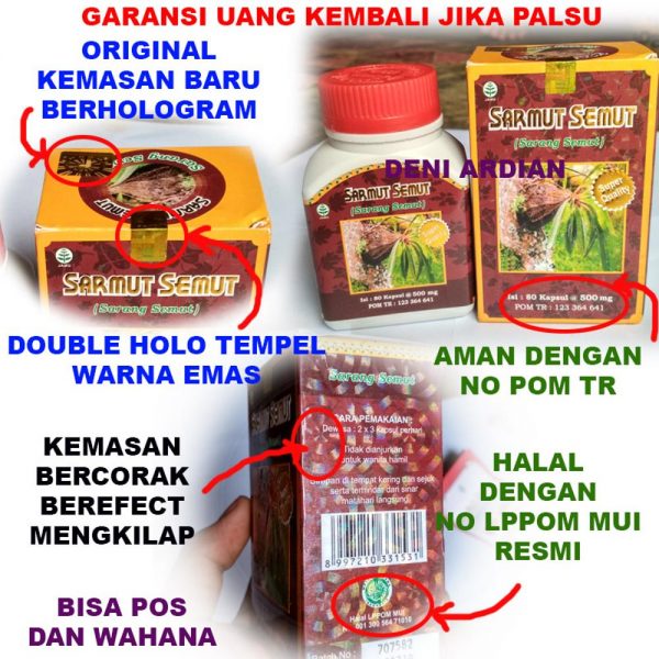 Sarmut Semut Sarang Semut Original Halal Obat Kanker