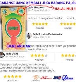 vermint kapsul typus