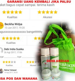 Paket Theraskin Glowing Cream Pemutih Kulit dan Penghilang Noda Hitam Pelembab Wajah Asli