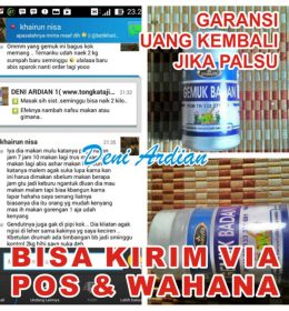HERBAL GEMUK BADAN BINASYIFA PENAMBAH BERAT BADAN