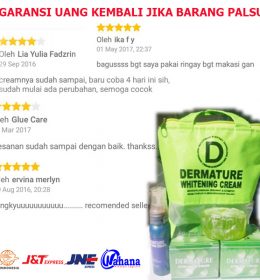 DERMATURE WHITENING SKIN CARE CREAM PEMUTIH KULIT DAN KULIT WAJAH