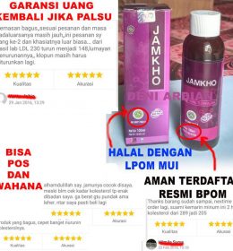 jamkho jamu obat kolesterol