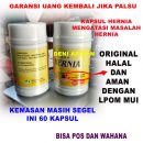 pro hernia obat herbal
