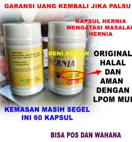 pro hernia obat herbal