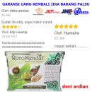 MASKER JERAWAT BROTOWALI RORO MENDUT