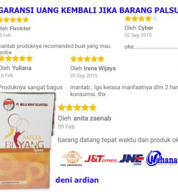melia biyang original obat stroke kekebalan tubuh dan maag