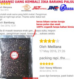 BERAS HITAM ORGANIK ORIGINAL VARIAN TORAJA