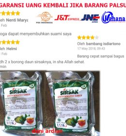 teh daun sirsak obat hipertensi dan kanker alami dan original