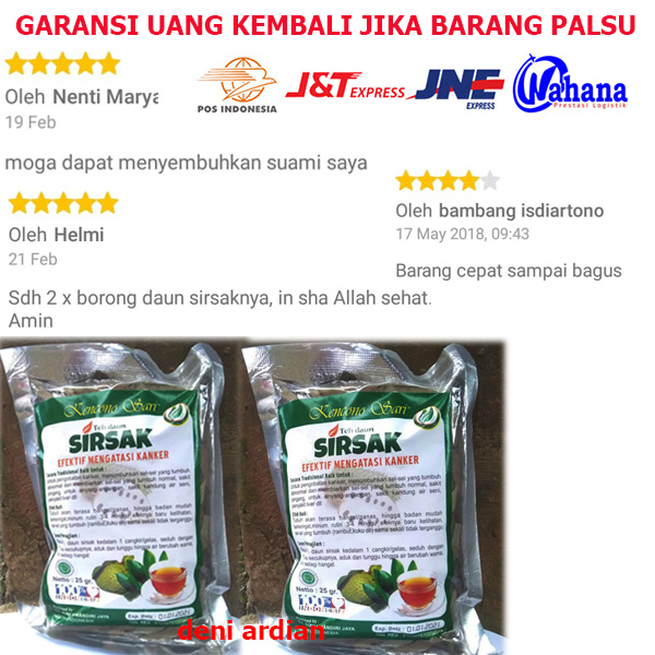 teh daun sirsak obat hipertensi dan kanker alami dan original