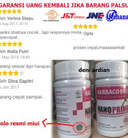 Habbaco Brains Caps Herbal alami Obat Autis Stroke Epilepsi Dan Otak Dengan Teknologi Nano Original Dan Asli