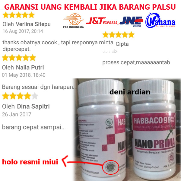 Habbaco Brains Caps Herbal alami Obat Autis Stroke Epilepsi Dan Otak Dengan Teknologi Nano Original Dan Asli