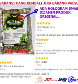 Teh Celup Herbal Daun Kelor