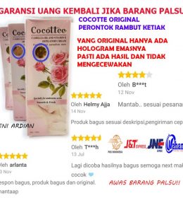 COCOTTE ORIGINAL CREAM PERONTOK BULU KETIAK